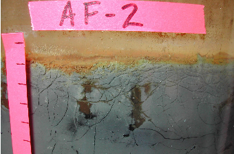 Anoxic chamber with FeO addition